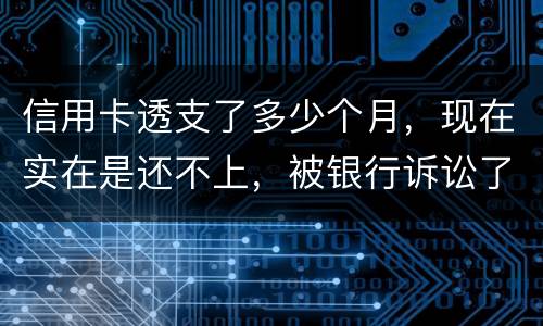 信用卡透支了多少个月，现在实在是还不上，被银行诉讼了要怎样办，谢谢