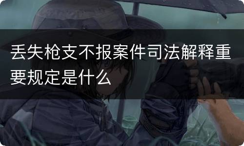 丢失枪支不报案件司法解释重要规定是什么