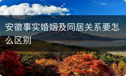 安徽事实婚姻及同居关系要怎么区别