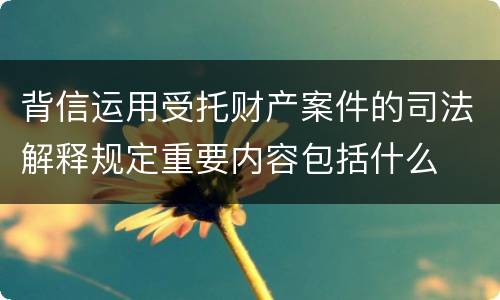 背信运用受托财产案件的司法解释规定重要内容包括什么