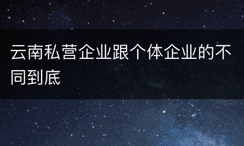 云南私营企业跟个体企业的不同到底