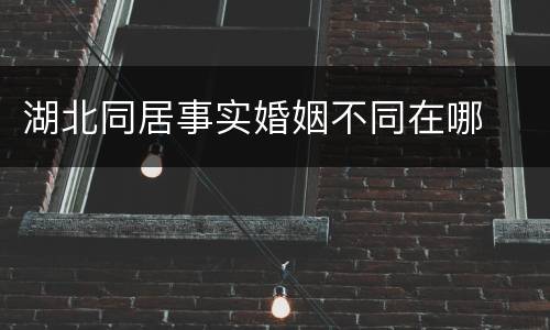 湖北同居事实婚姻不同在哪