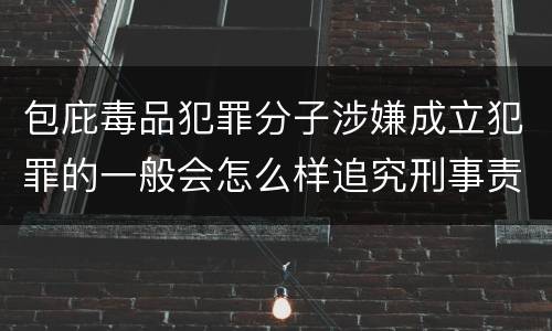 包庇毒品犯罪分子涉嫌成立犯罪的一般会怎么样追究刑事责任