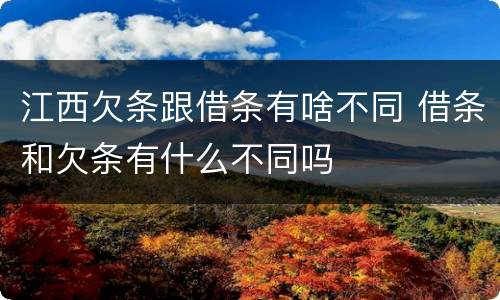江西欠条跟借条有啥不同 借条和欠条有什么不同吗