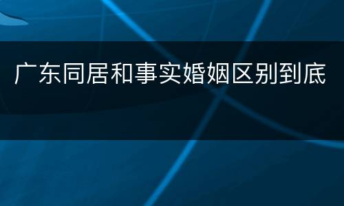 广东同居和事实婚姻区别到底
