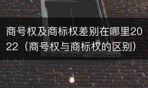 商号权及商标权差别在哪里2022（商号权与商标权的区别）