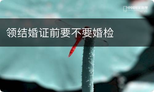 领结婚证前要不要婚检