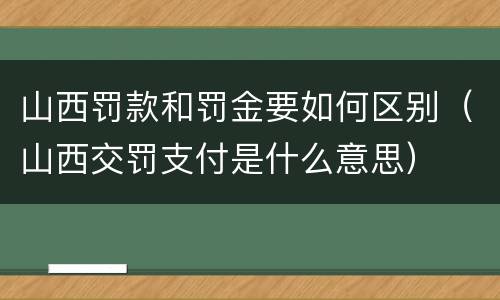 山西罚款和罚金要如何区别（山西交罚支付是什么意思）