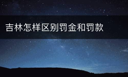 吉林怎样区别罚金和罚款