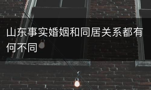 山东事实婚姻和同居关系都有何不同