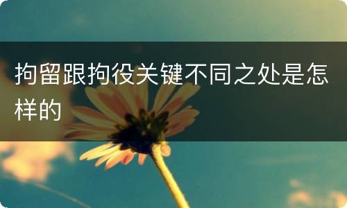 拘留跟拘役关键不同之处是怎样的