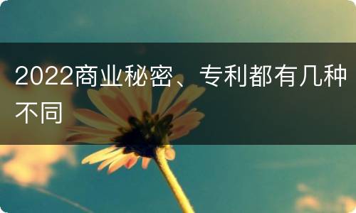 2022商业秘密、专利都有几种不同