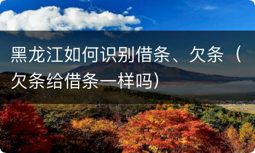 黑龙江如何识别借条、欠条（欠条给借条一样吗）