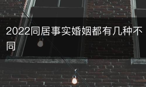 2022同居事实婚姻都有几种不同