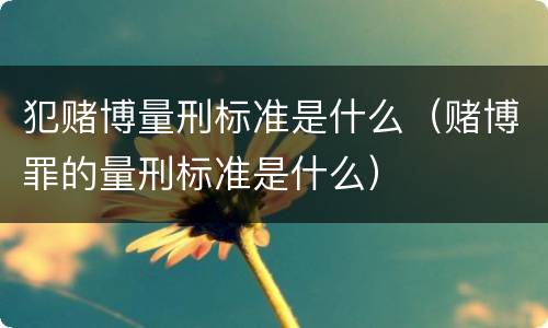 犯赌博量刑标准是什么（赌博罪的量刑标准是什么）