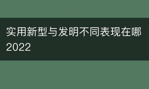 实用新型与发明不同表现在哪2022