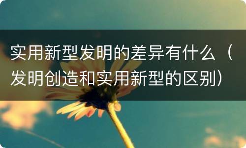 实用新型发明的差异有什么（发明创造和实用新型的区别）