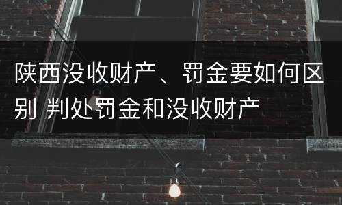 陕西没收财产、罚金要如何区别 判处罚金和没收财产