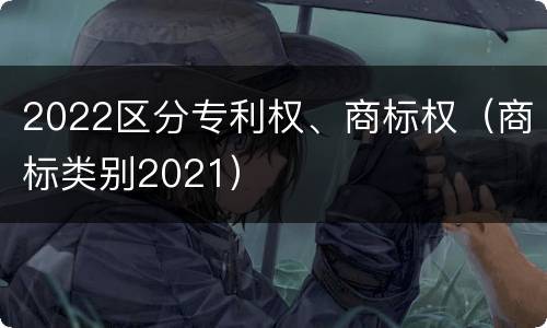 2022区分专利权、商标权（商标类别2021）