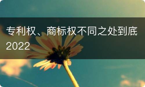 专利权、商标权不同之处到底2022