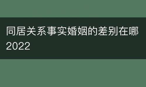 同居关系事实婚姻的差别在哪2022