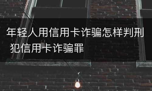 年轻人用信用卡诈骗怎样判刑 犯信用卡诈骗罪