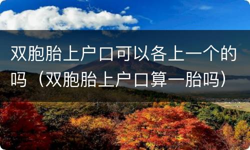 双胞胎上户口可以各上一个的吗（双胞胎上户口算一胎吗）
