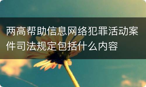 两高帮助信息网络犯罪活动案件司法规定包括什么内容