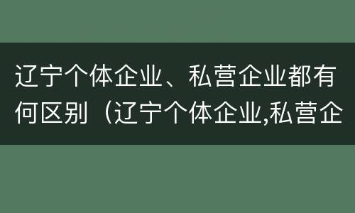 辽宁个体企业、私营企业都有何区别（辽宁个体企业,私营企业都有何区别呢）