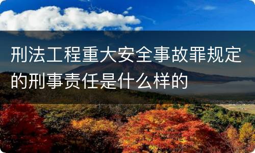 刑法工程重大安全事故罪规定的刑事责任是什么样的