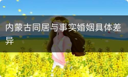 内蒙古同居与事实婚姻具体差异