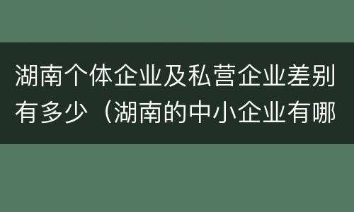 湖南个体企业及私营企业差别有多少（湖南的中小企业有哪些）