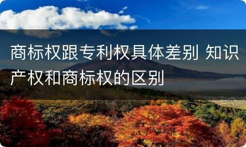 商标权跟专利权具体差别 知识产权和商标权的区别
