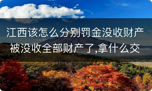江西该怎么分别罚金没收财产 被没收全部财产了,拿什么交罚金