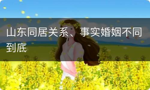 山东同居关系、事实婚姻不同到底