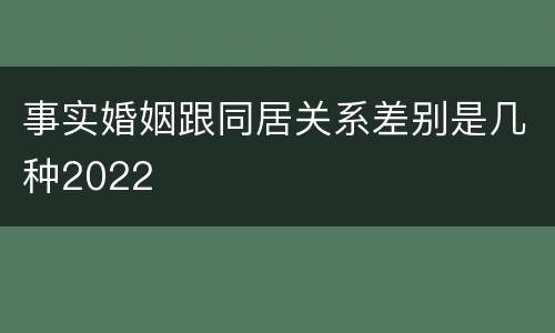 事实婚姻跟同居关系差别是几种2022
