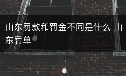 山东罚款和罚金不同是什么 山东罚单
