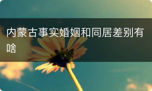 内蒙古事实婚姻和同居差别有啥