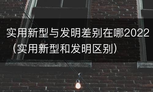 实用新型与发明差别在哪2022（实用新型和发明区别）