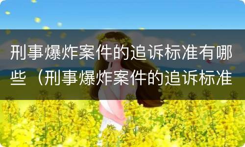 刑事爆炸案件的追诉标准有哪些（刑事爆炸案件的追诉标准有哪些要求）