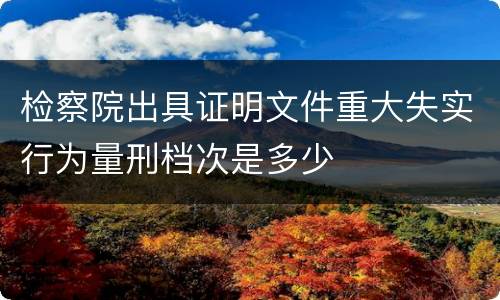 检察院出具证明文件重大失实行为量刑档次是多少