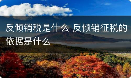 反倾销税是什么 反倾销征税的依据是什么