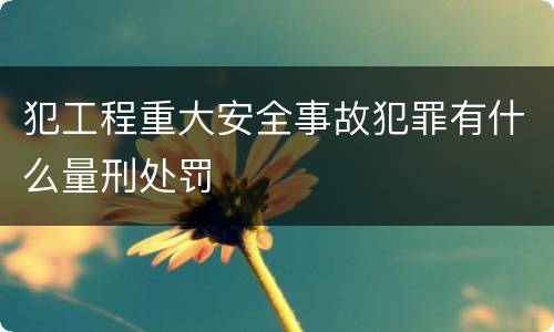 犯工程重大安全事故犯罪有什么量刑处罚
