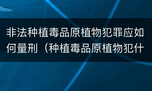 非法种植毒品原植物犯罪应如何量刑（种植毒品原植物犯什么罪）
