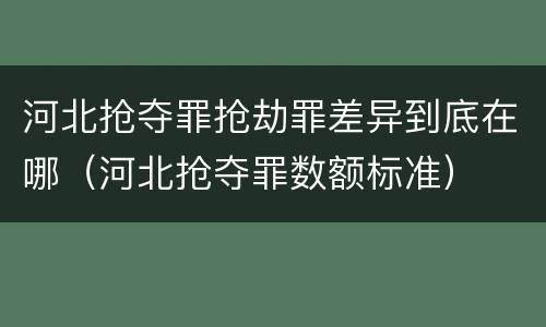 河北抢夺罪抢劫罪差异到底在哪（河北抢夺罪数额标准）