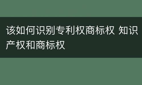 该如何识别专利权商标权 知识产权和商标权