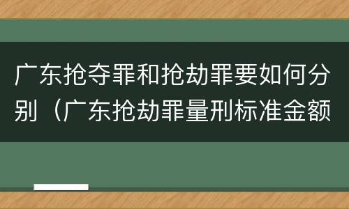 广东抢夺罪和抢劫罪要如何分别（广东抢劫罪量刑标准金额）