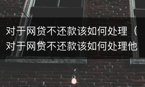 对于网贷不还款该如何处理（对于网贷不还款该如何处理他）