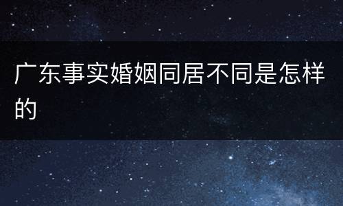 广东事实婚姻同居不同是怎样的