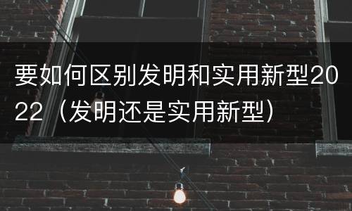 要如何区别发明和实用新型2022（发明还是实用新型）